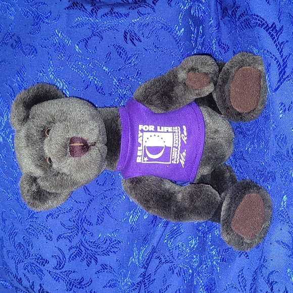 1998-1999 ACS Relay For Life "Mr. Ree" (mystery) Teddy Bear VTG Plush Logo Bear - Picture 3 of 17